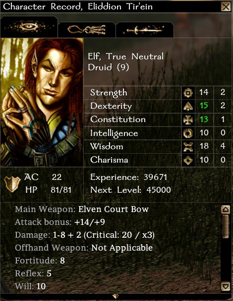 A character sheet, describing an elven druid